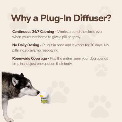 PawsEase Dog Diffuser