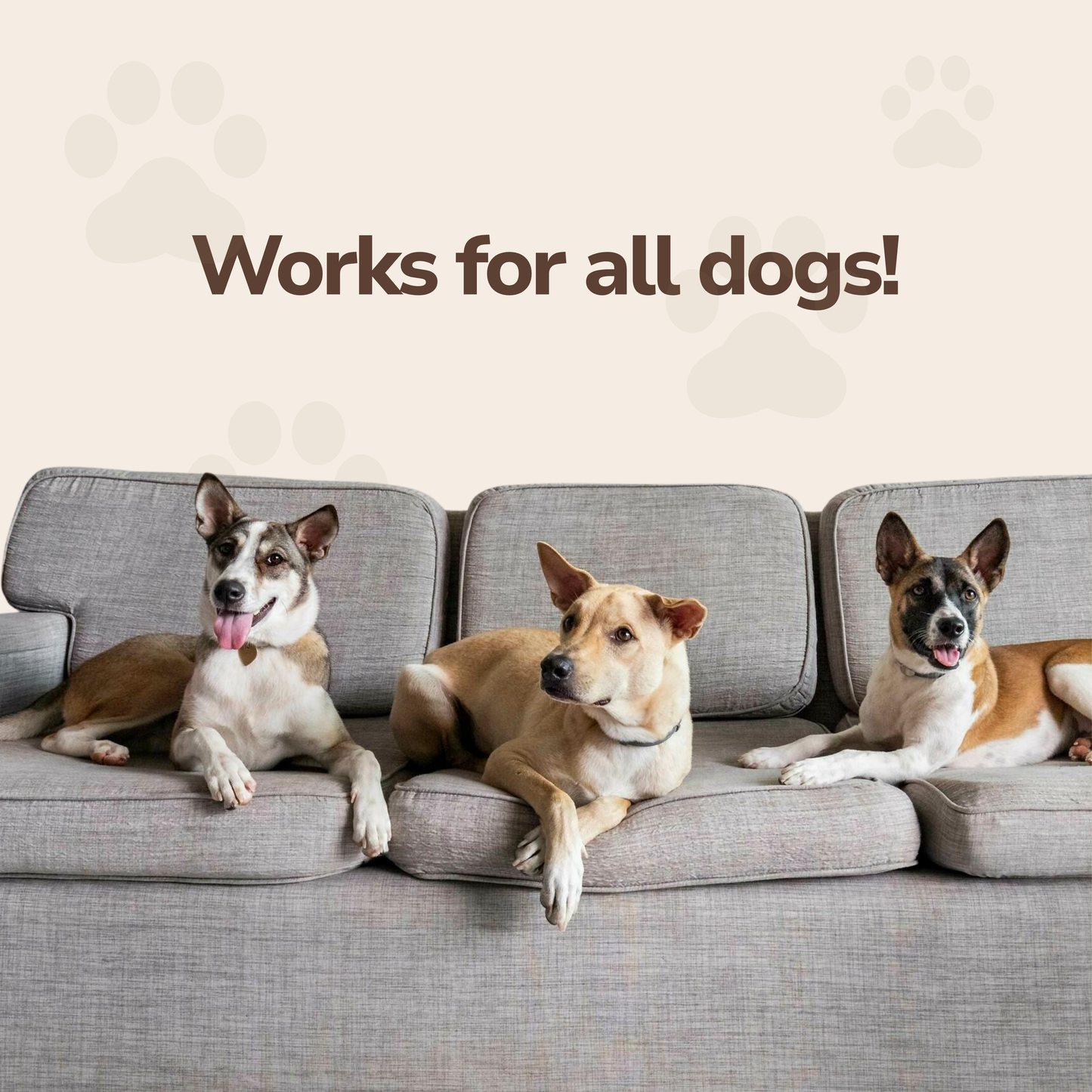 PawsEase Dog Diffuser